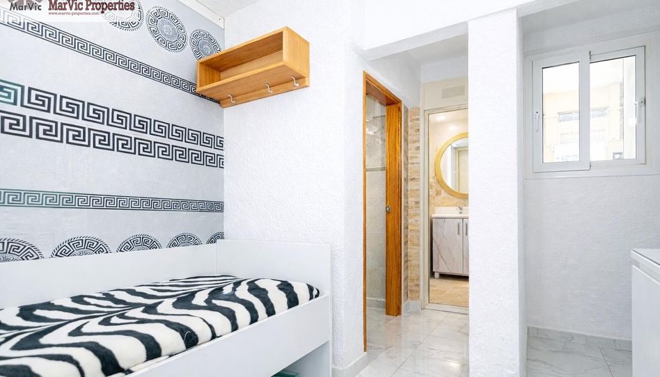 Planta baja en venta en Calle Irlanda, Juzgados - Plaza de Toros - 5