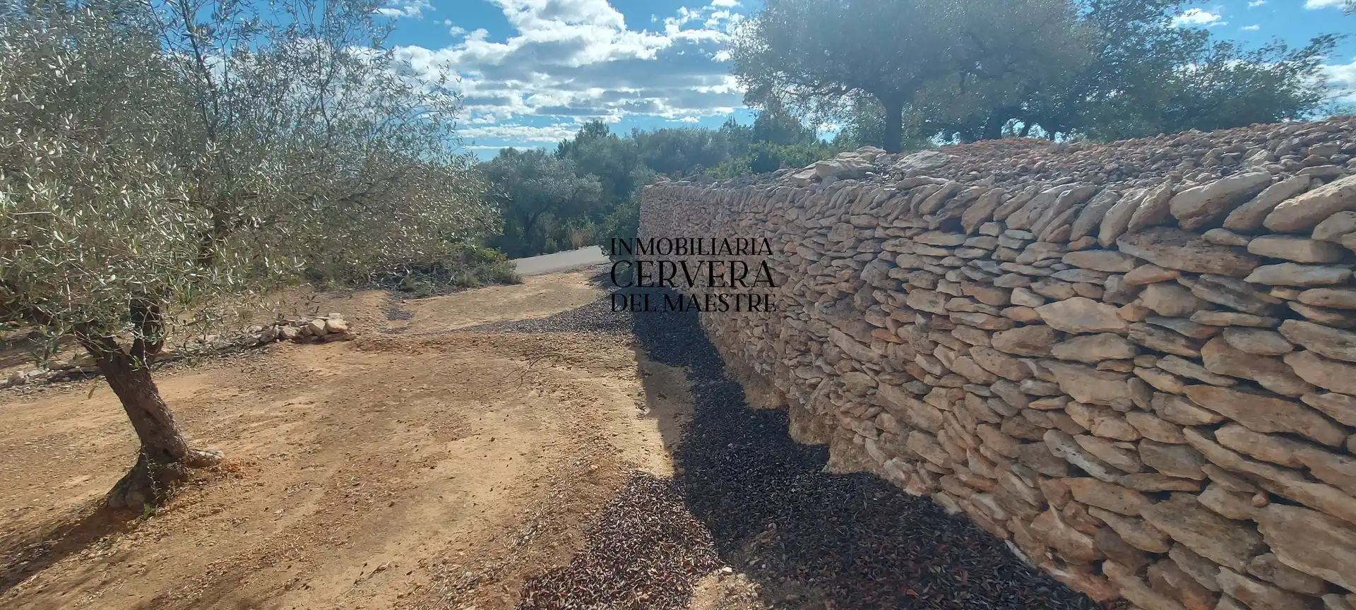 Terreno rustico in vendita a Partidas de interior - Zona Rústica, imagen 30