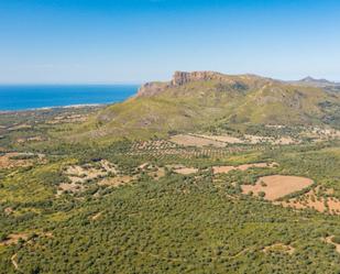 Finca rústica en venda en Artà amb Jardí privat, Terrassa i Traster