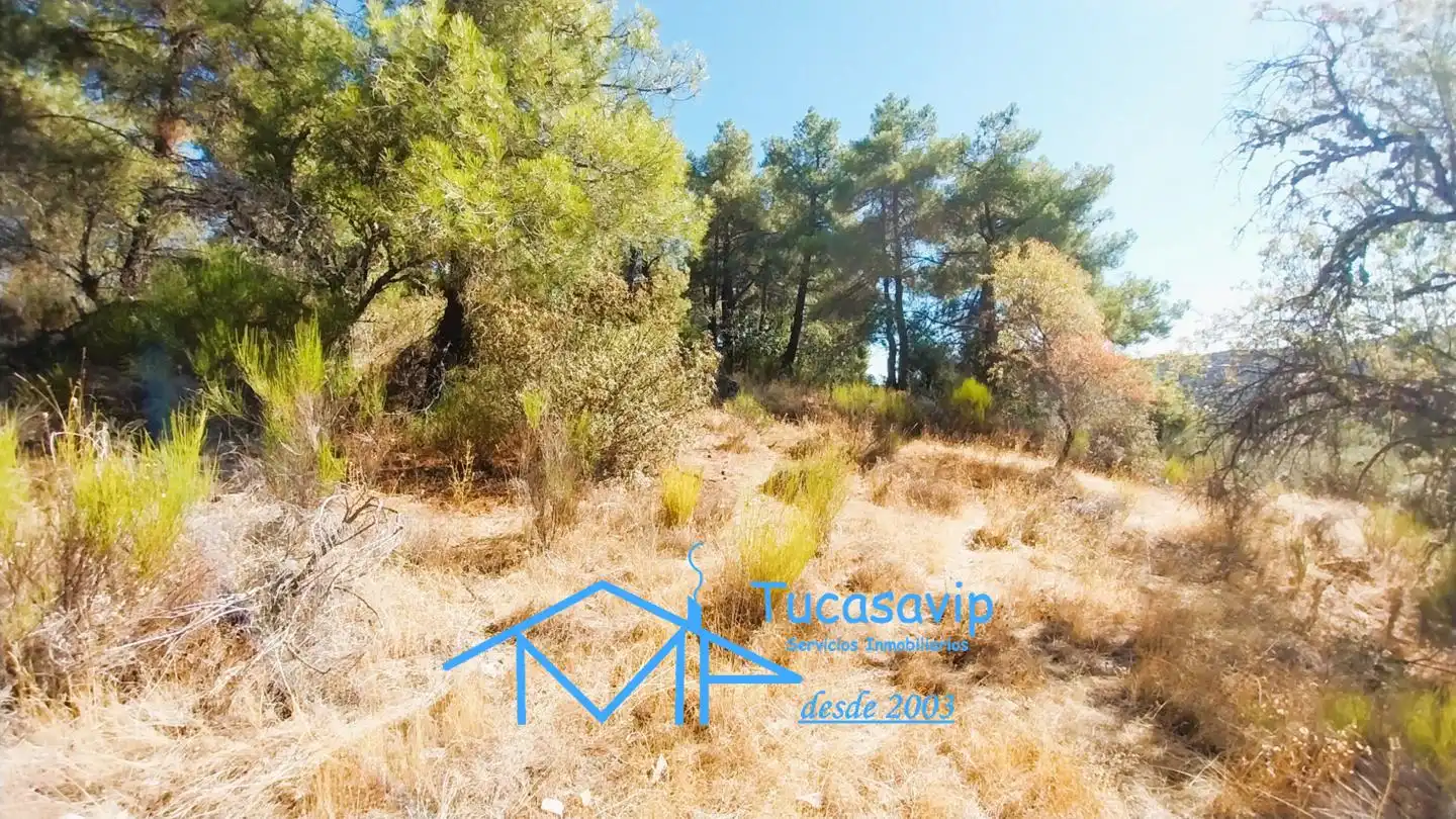 Terreno en venta en Cadalso de los Vidrios