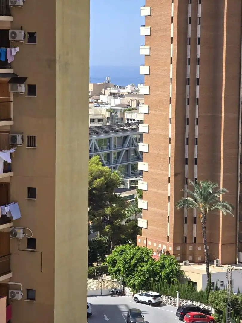 Appartement avec piscine à vendre à Juzgados - Plaza de Toros, imagen 36