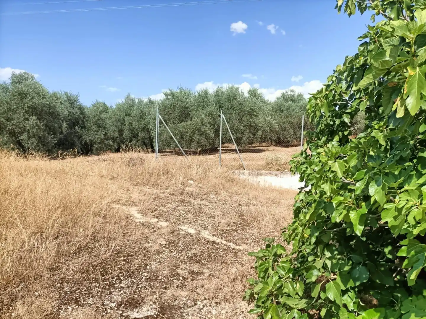 Houses for sale in Jauja