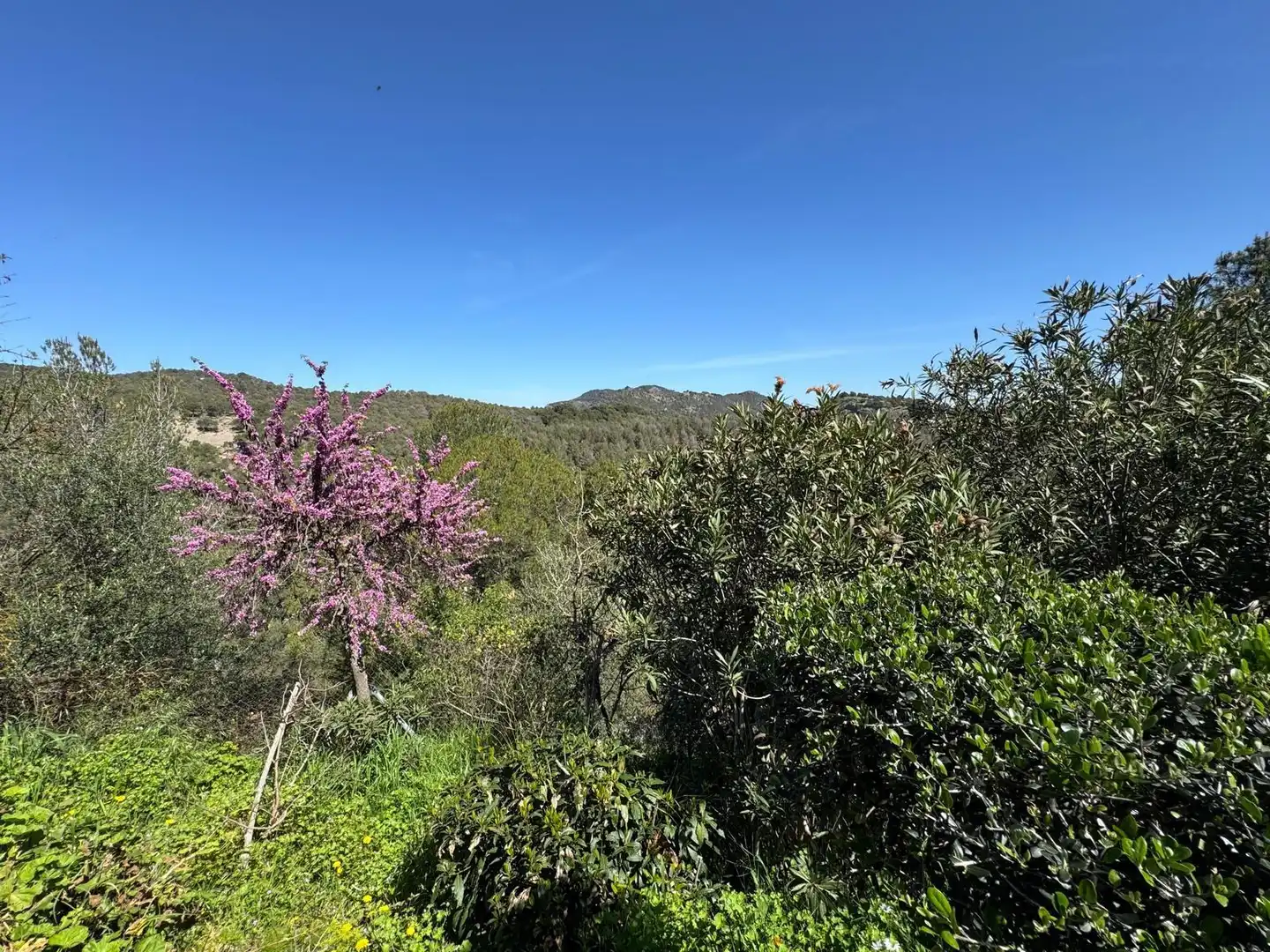 Casa o chalet en venta en Ardales con Jardín privado y Terraza