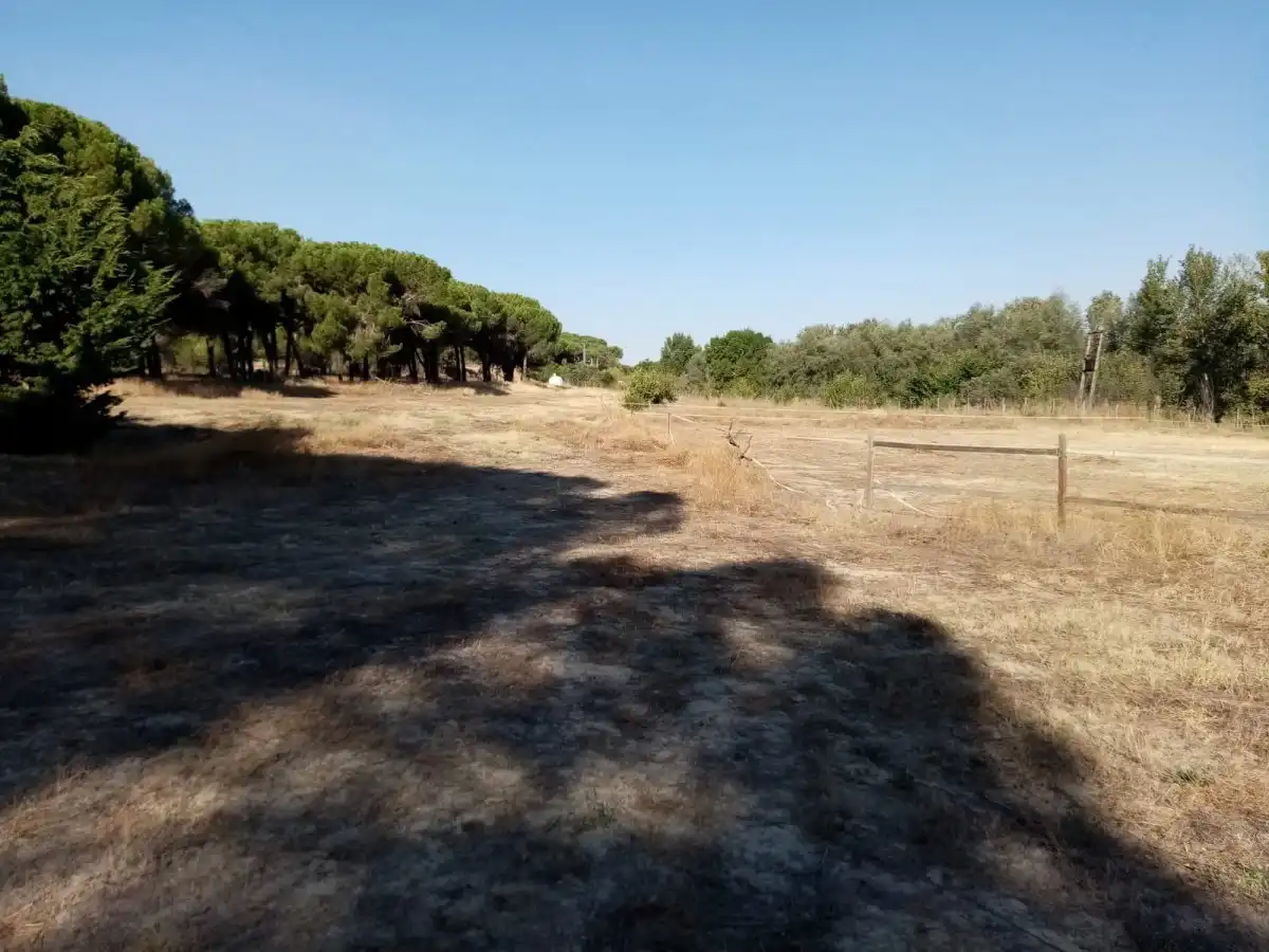 Country homes for sale in Villanueva de Duero