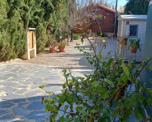 Jardí de Casa o xalet en venda en Burriana / Borriana amb Terrassa