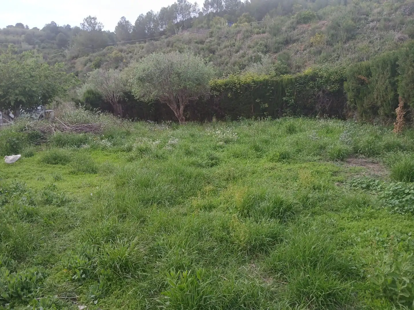 Terrenos y solares en venta en Castellbisbal, imagen 10