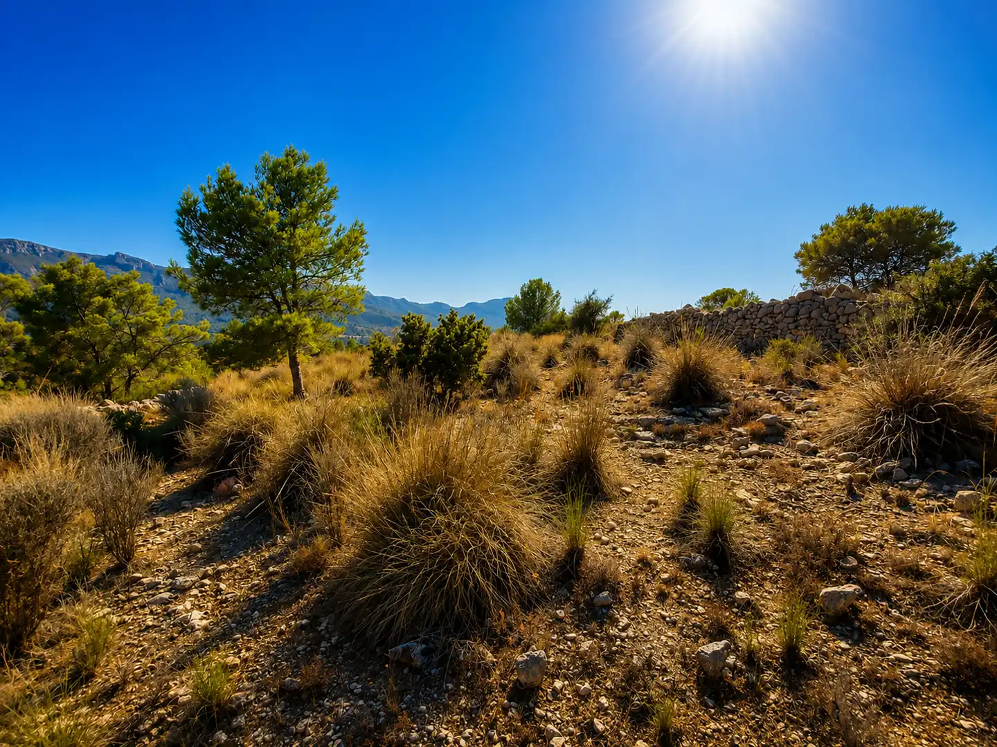 Terreno en venta en La Romana