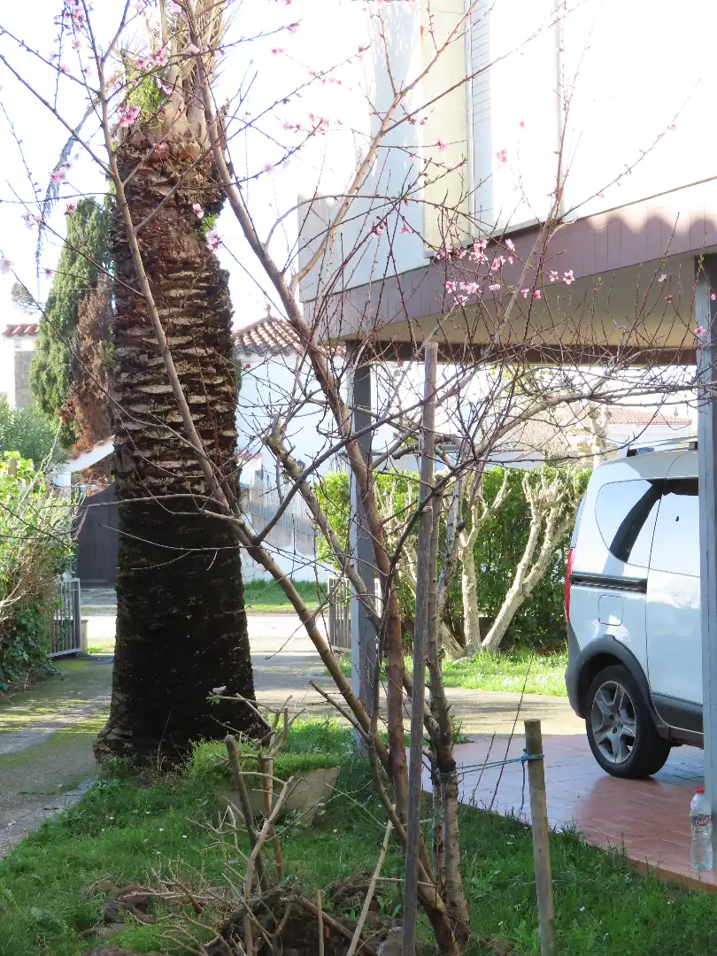 Jardín de Piso en venta en Empuriabrava con Jardín privado, Terraza y Amueblado