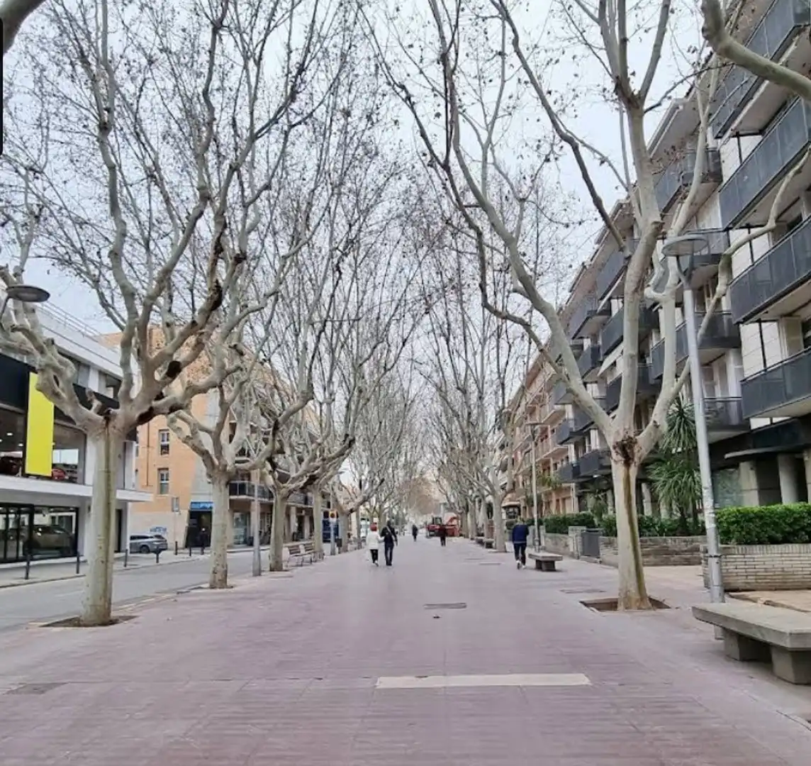 Locale commerciale in affitto a TERRAPLE 43-48