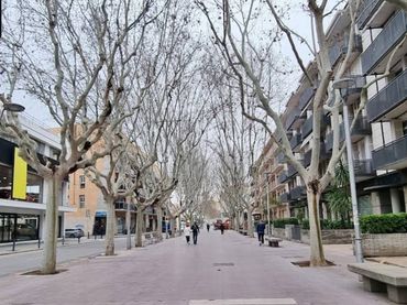 Local comercial en alquiler en TERRAPLE 43-48