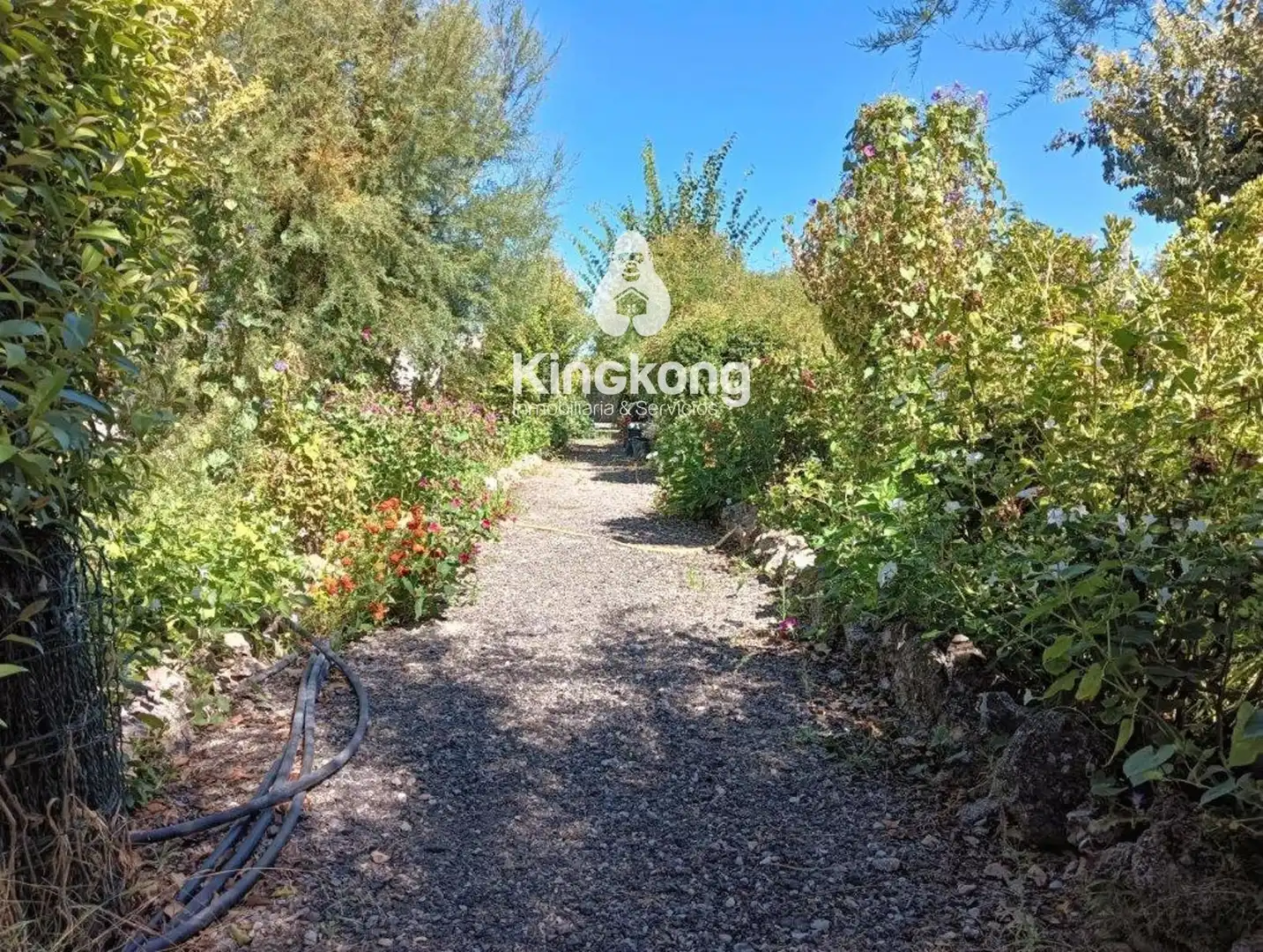 Residential for sale in Belinchón