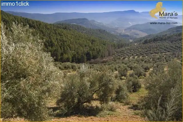 Jardí de Residencial en venda en Siles