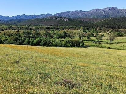 Finca rústica en venda en Villar del Pedroso