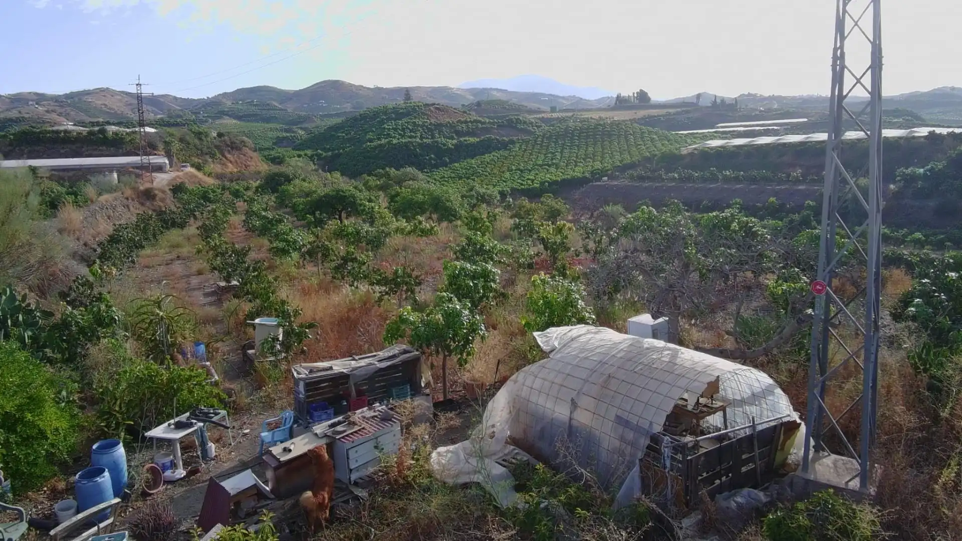 Terrain rustique à vendre à Vélez-Málaga ciudad, imagen 8