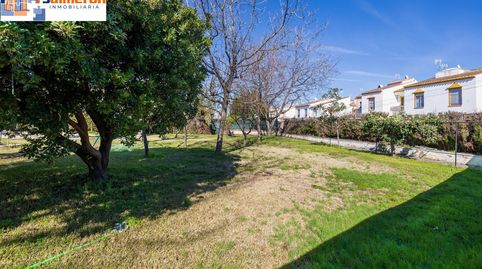 Foto 4 de Casa o chalet en venta en Calle Caño Palo, Ogíjares, Granada