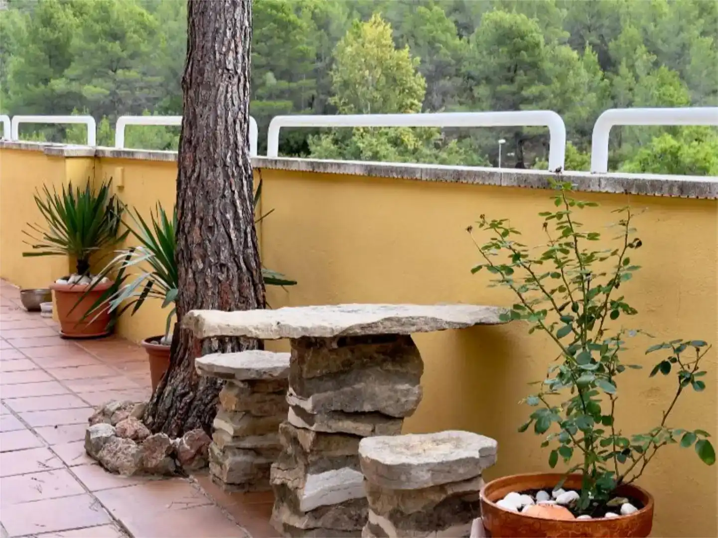 Terrassa de Local en venda en Montanejos amb Parquet i Moblat