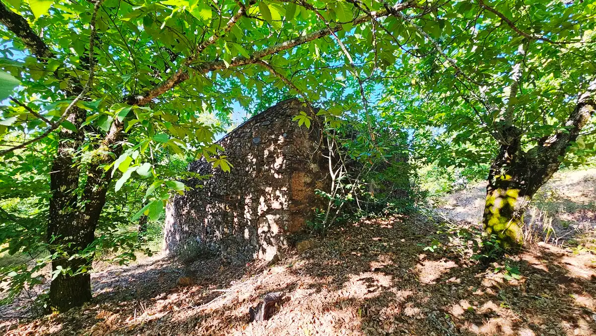 Terreni e lotti in vendita a Castaño del Robledo, imagen 22