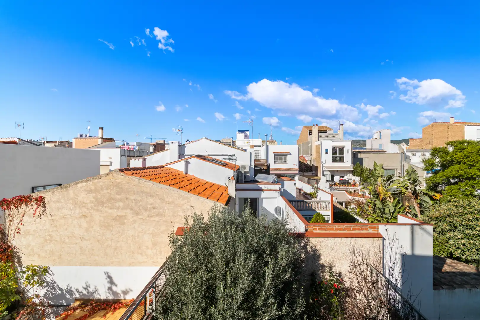 Vista exterior de Casa o chalet en venta en Badalona con Jardín privado, Terraza y Trastero