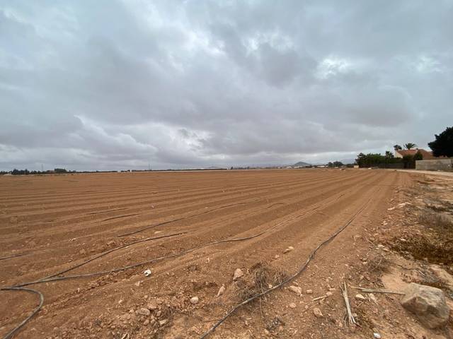 Terreno residencial en Venta en Santa Ana