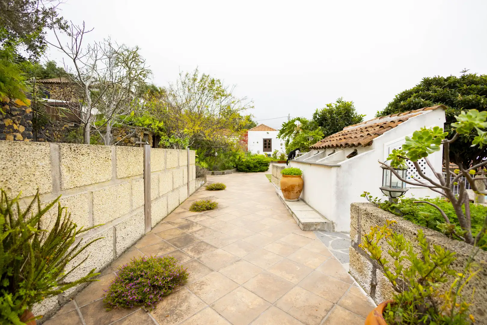 Finca rústica en venta en La Vega - El Amparo - Cueva del Viento