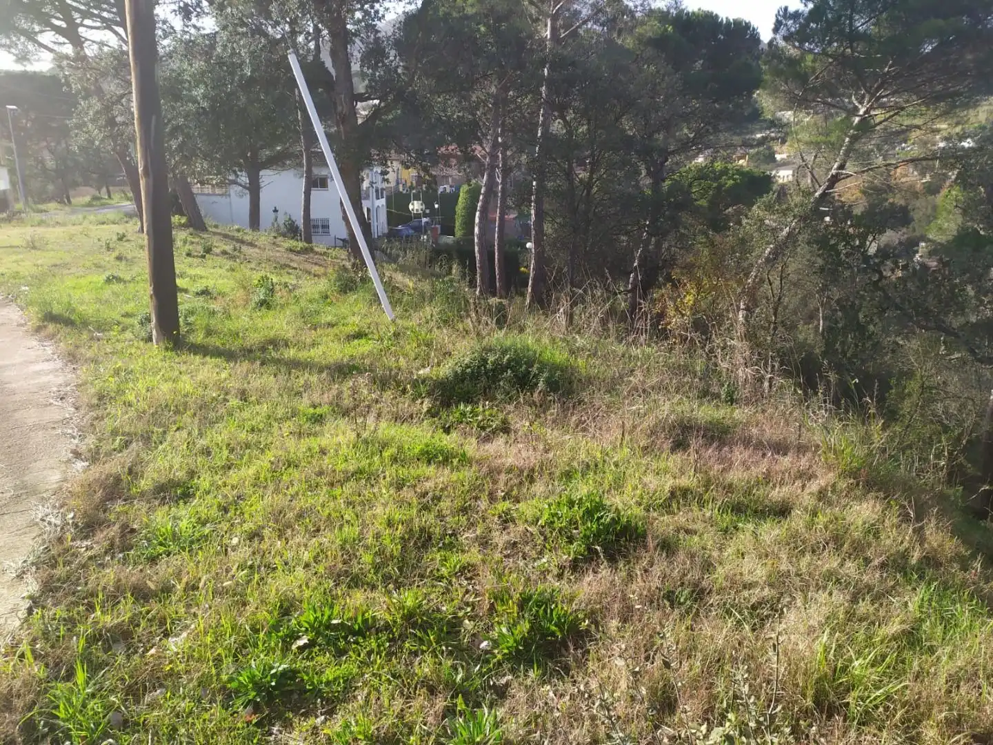 Wohnbaugrundstück zum Verkauf in Niàgara Parc - Àgora Parc