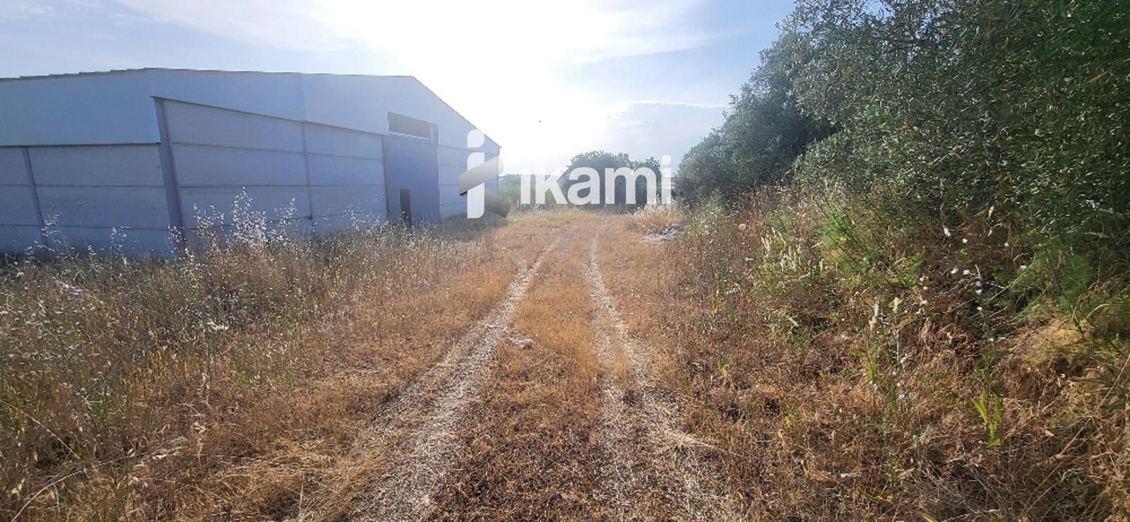 Industrial buildings for sale in Oropesa