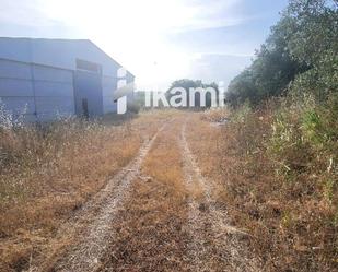Nau industrial en venda en Oropesa