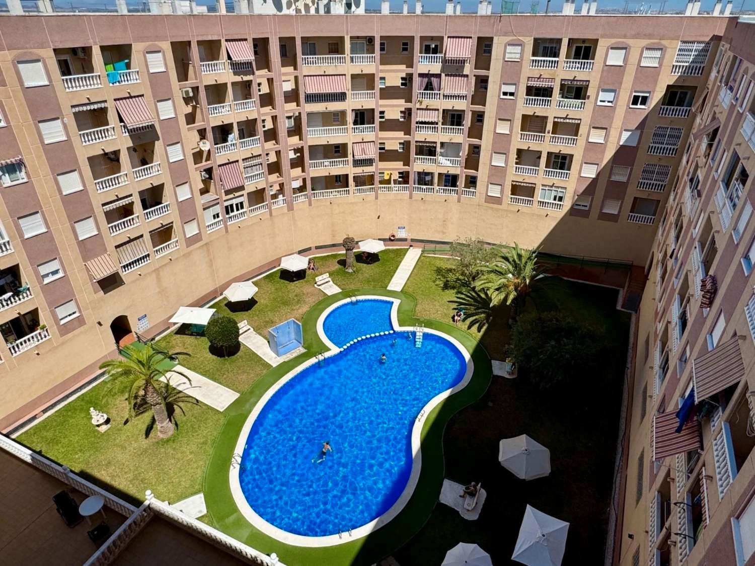 Piscina de Apartament en venda en Torrevieja amb Aire condicionat, Calefacció i Terrassa