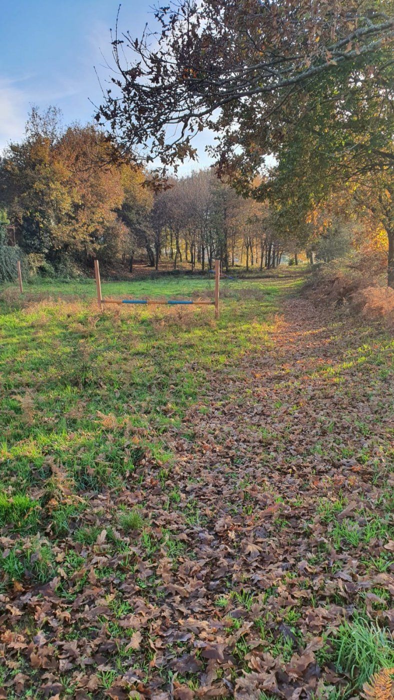 Country house for sale in Padrón
