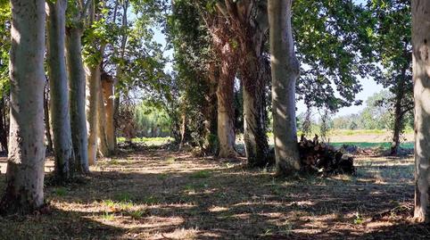 Photo 5 of Country house for sale in Castelló d'Empúries, Girona