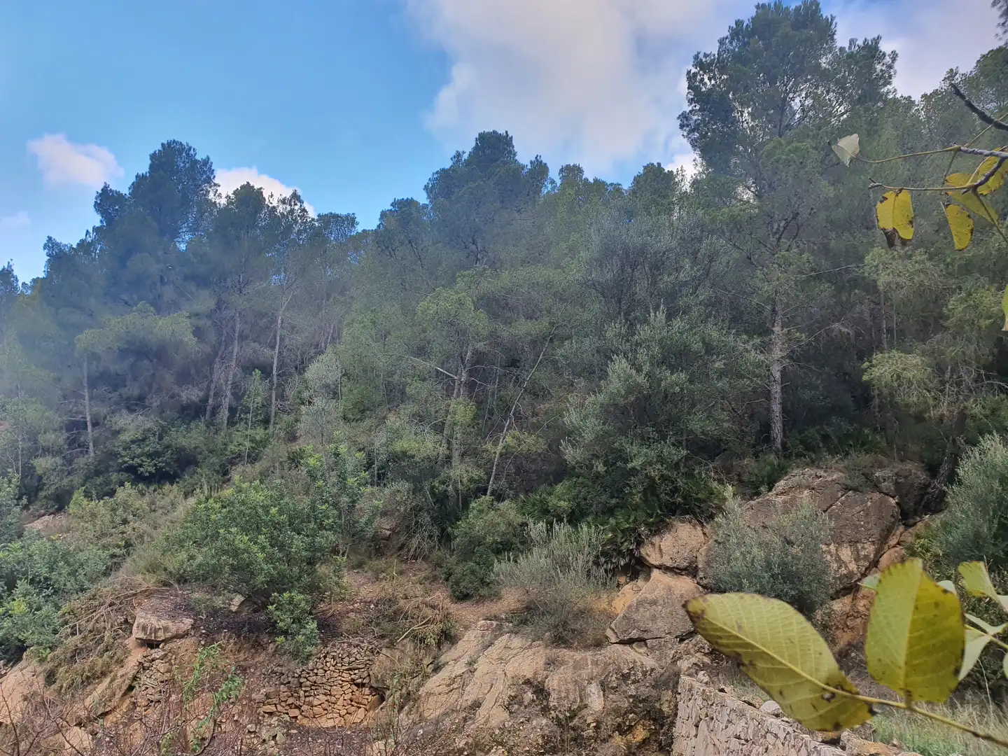 Terreno rústico en venta en Benifallet, imagen 4