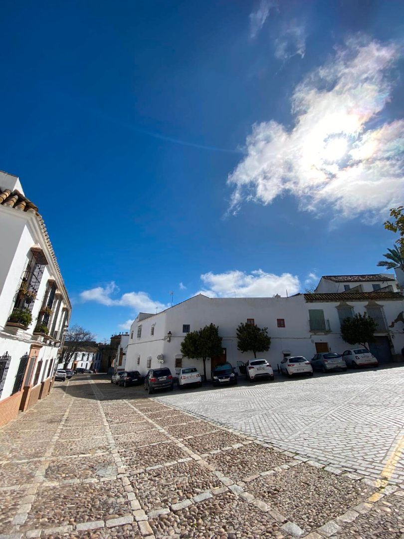 Vista exterior de Casa adosada en venda en Carmona amb Terrassa