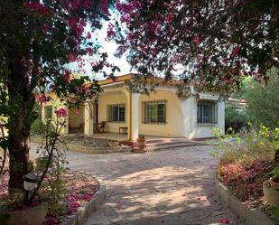 Garden of House or chalet for sale in Paterna  with Private garden