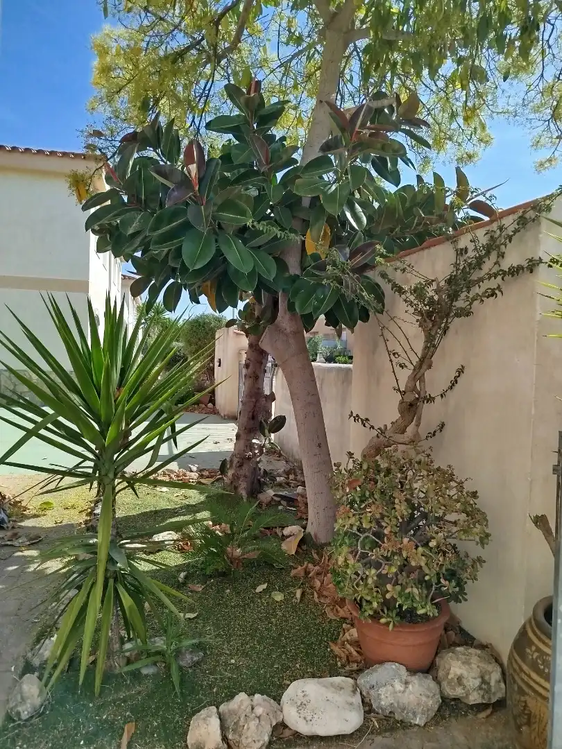 Jardí de Apartament en venda en Mont-roig del Camp amb Aire condicionat, Parquet i Terrassa