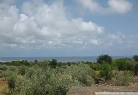 Country house for sale in Alcanar, imagen 7