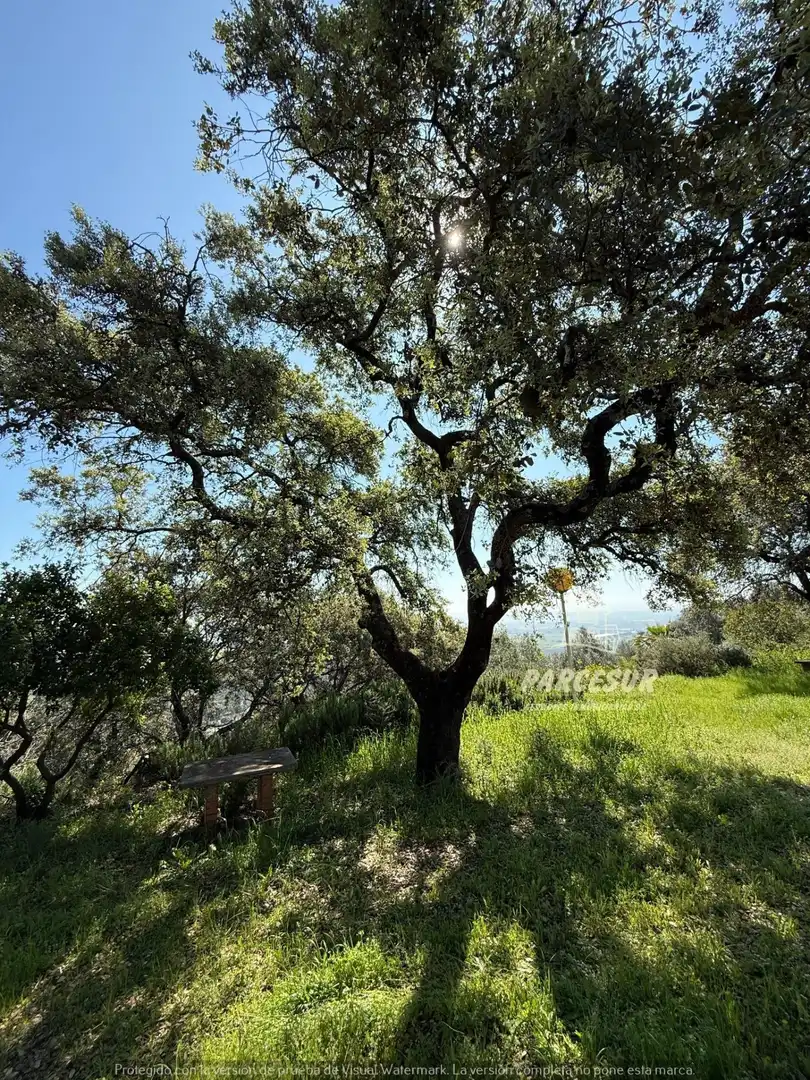 Vista exterior de Finca rústica en venda en Córdoba amb Jardí privat i Traster