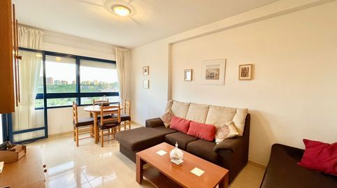 Photo 5 of Flat for rent in Campoamor, Orihuela