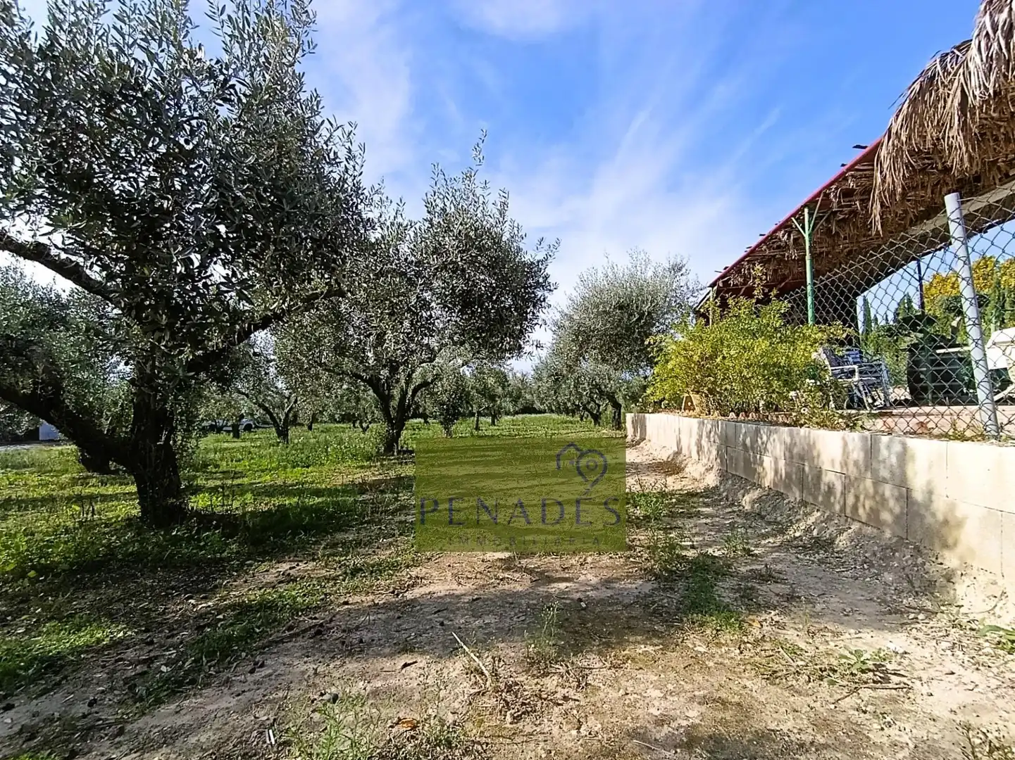 Villa avec piscine à vendre à Sant Josep - Zona Hospital, imagen 42