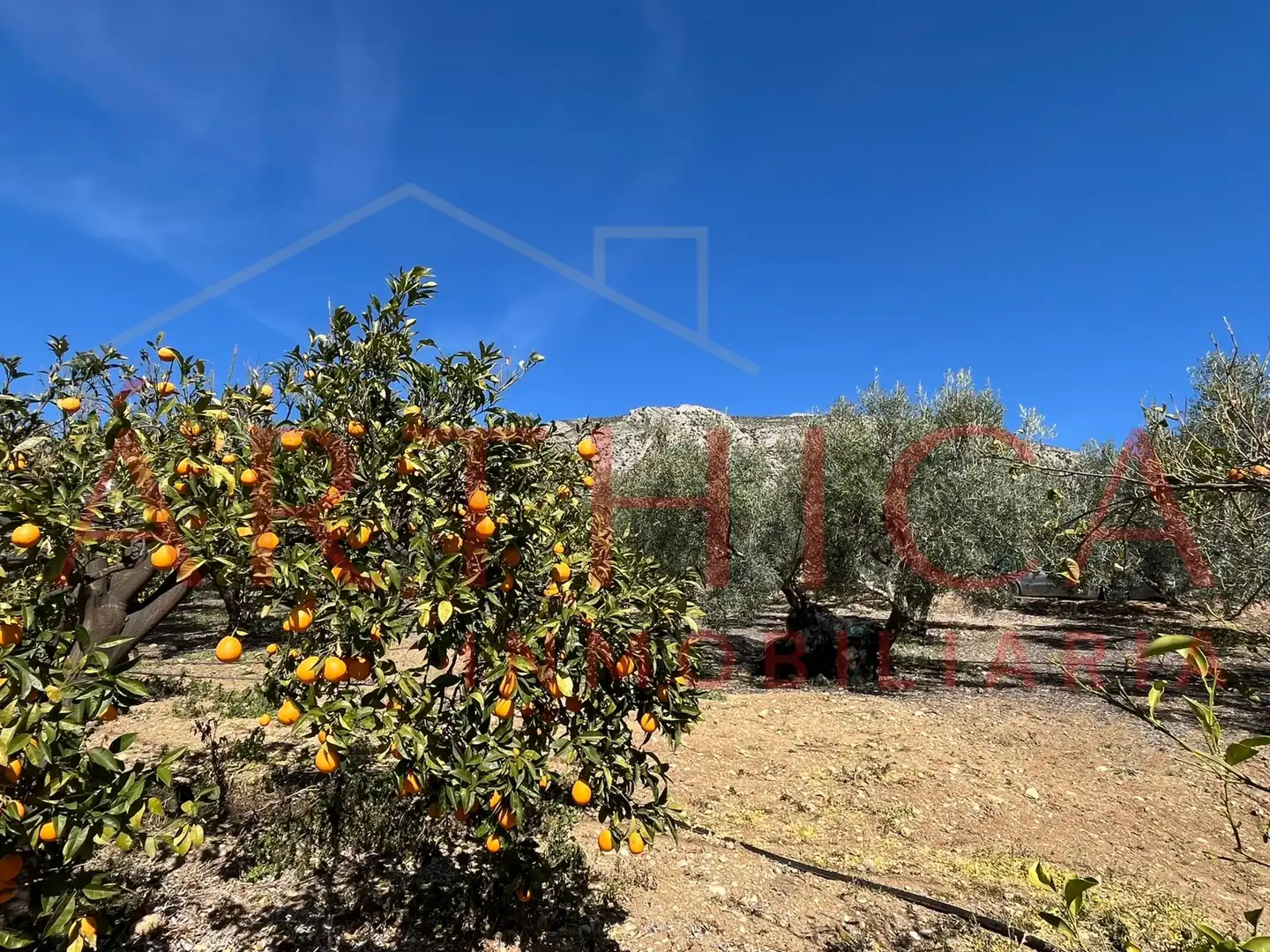 Chalet con jardín en venta en Diseminado Poligono, imagen 58