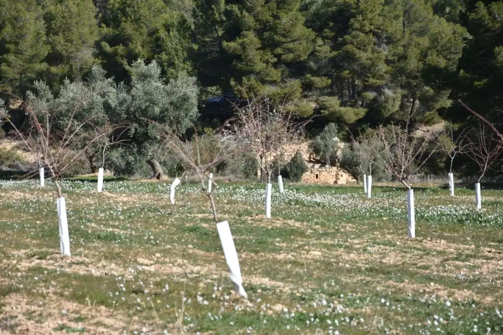 Country homes for sale in La Fresneda