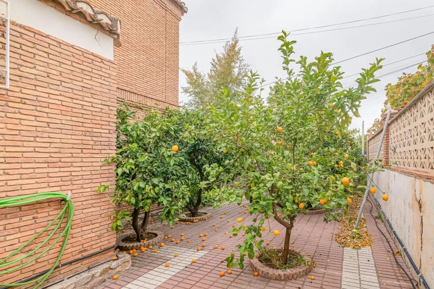 Jardí de Casa o xalet en venda en La Zubia amb Calefacció, Jardí privat i Terrassa