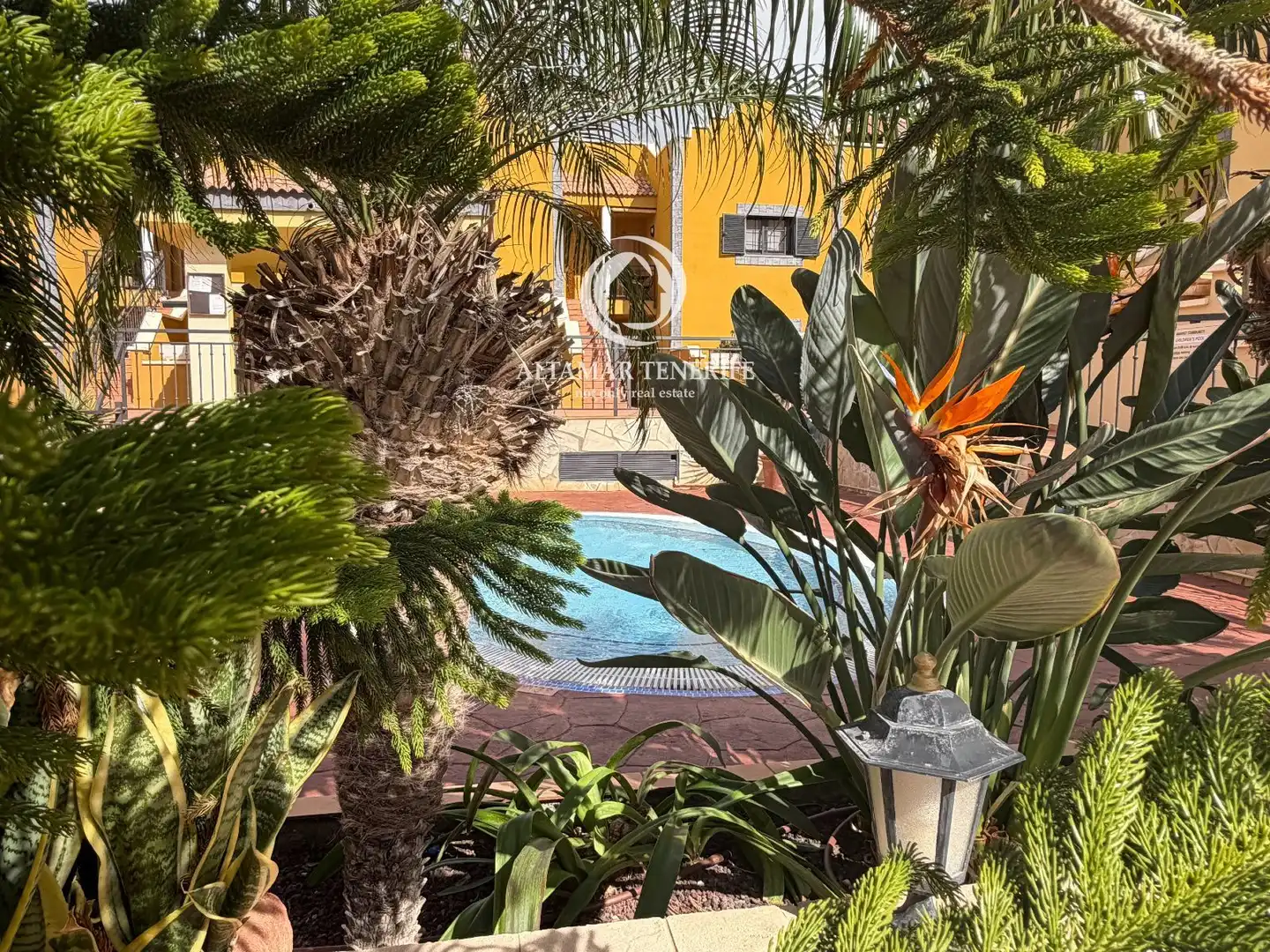 Vista exterior de Apartament en venda en Adeje amb Terrassa, Traster i Piscina