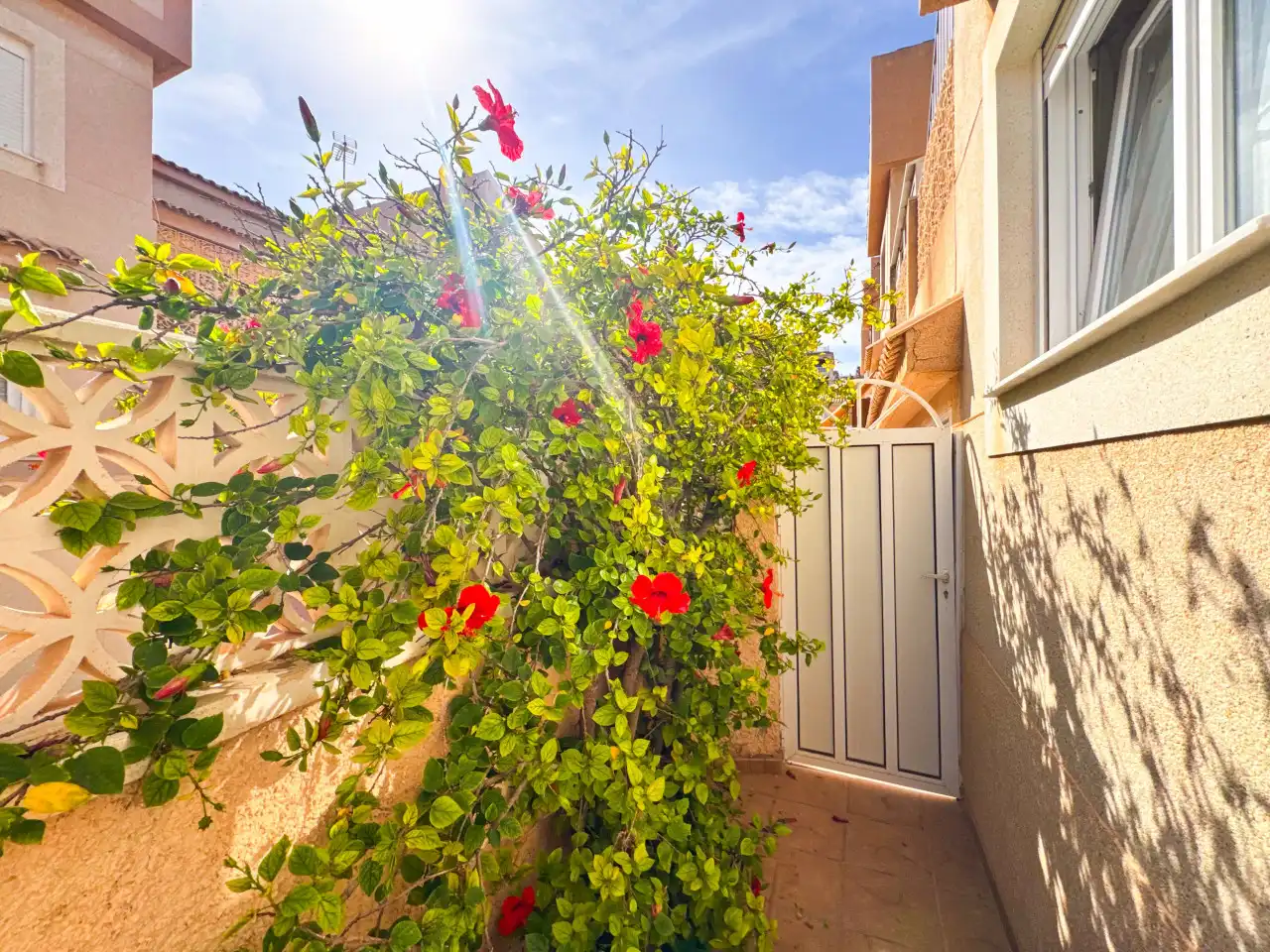 Jardí de Casa adosada en venda en Torrevieja amb Aire condicionat, Calefacció i Jardí privat