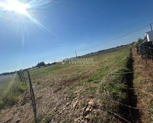 Land for sale in Conil de la Frontera