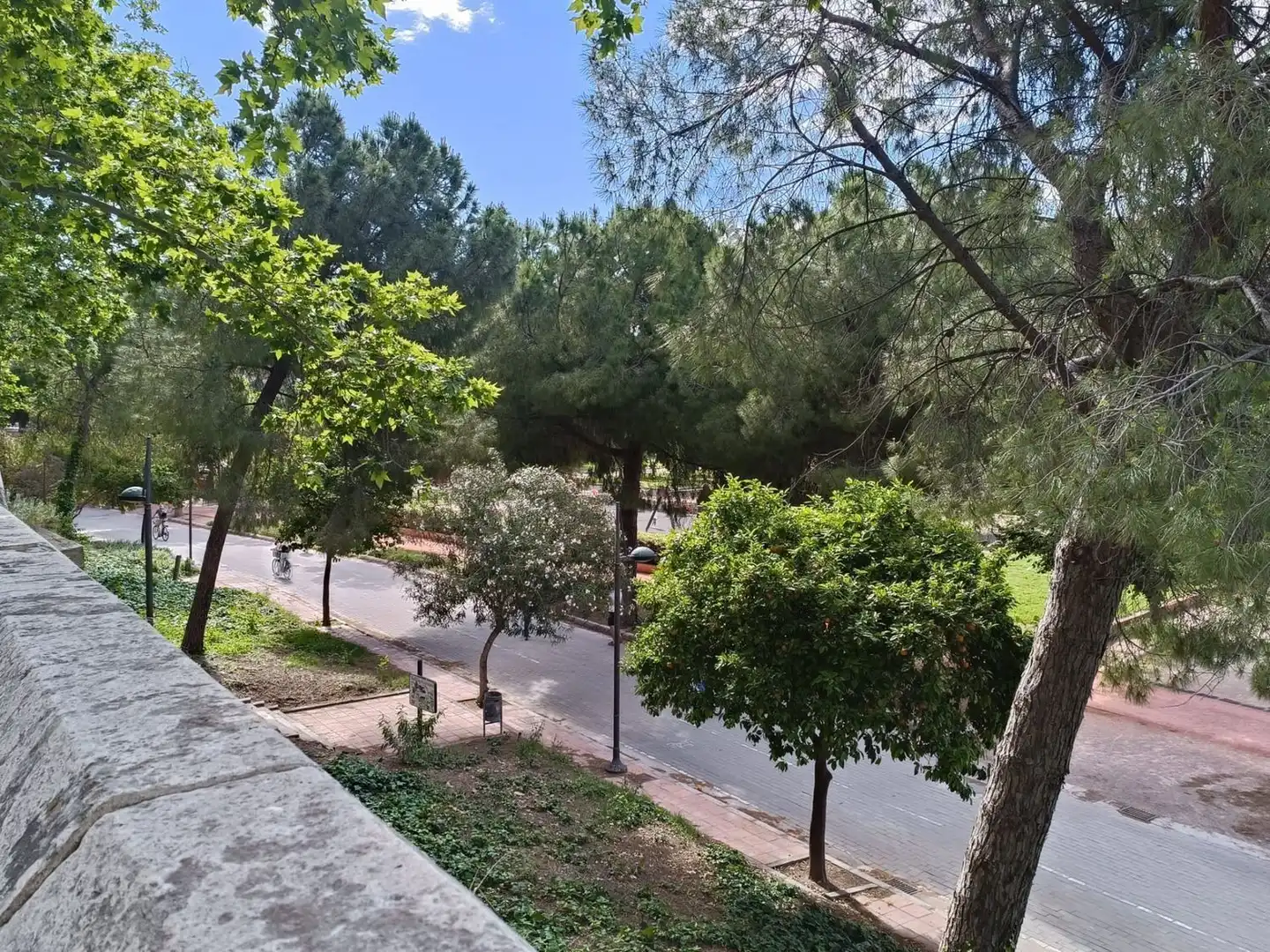 Piso con ascensor en venta en Paseo de la Petxina, imagen 43