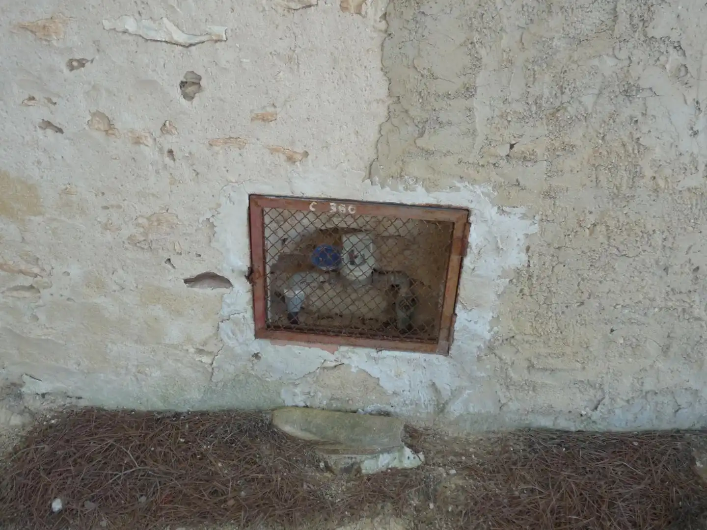 Außenansicht von Country house zum Verkauf in Albaida mit Privatgarten und Abstellraum