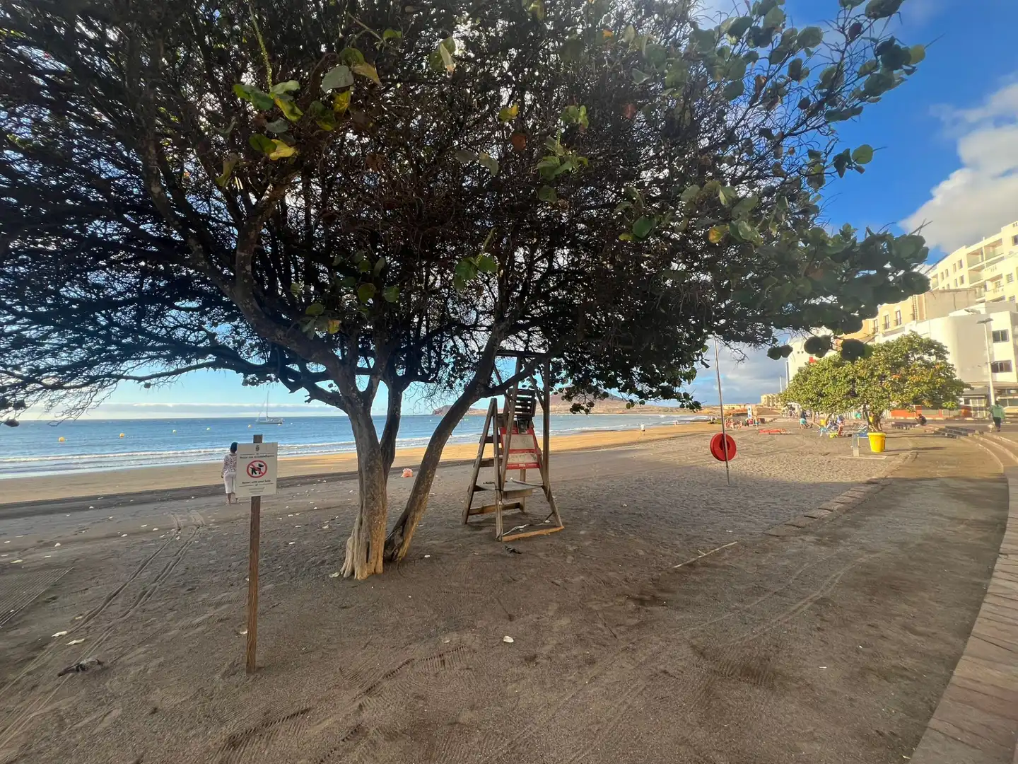 Vista exterior de Apartament en venda en Granadilla de Abona amb Moblat, Forn i Rentadora