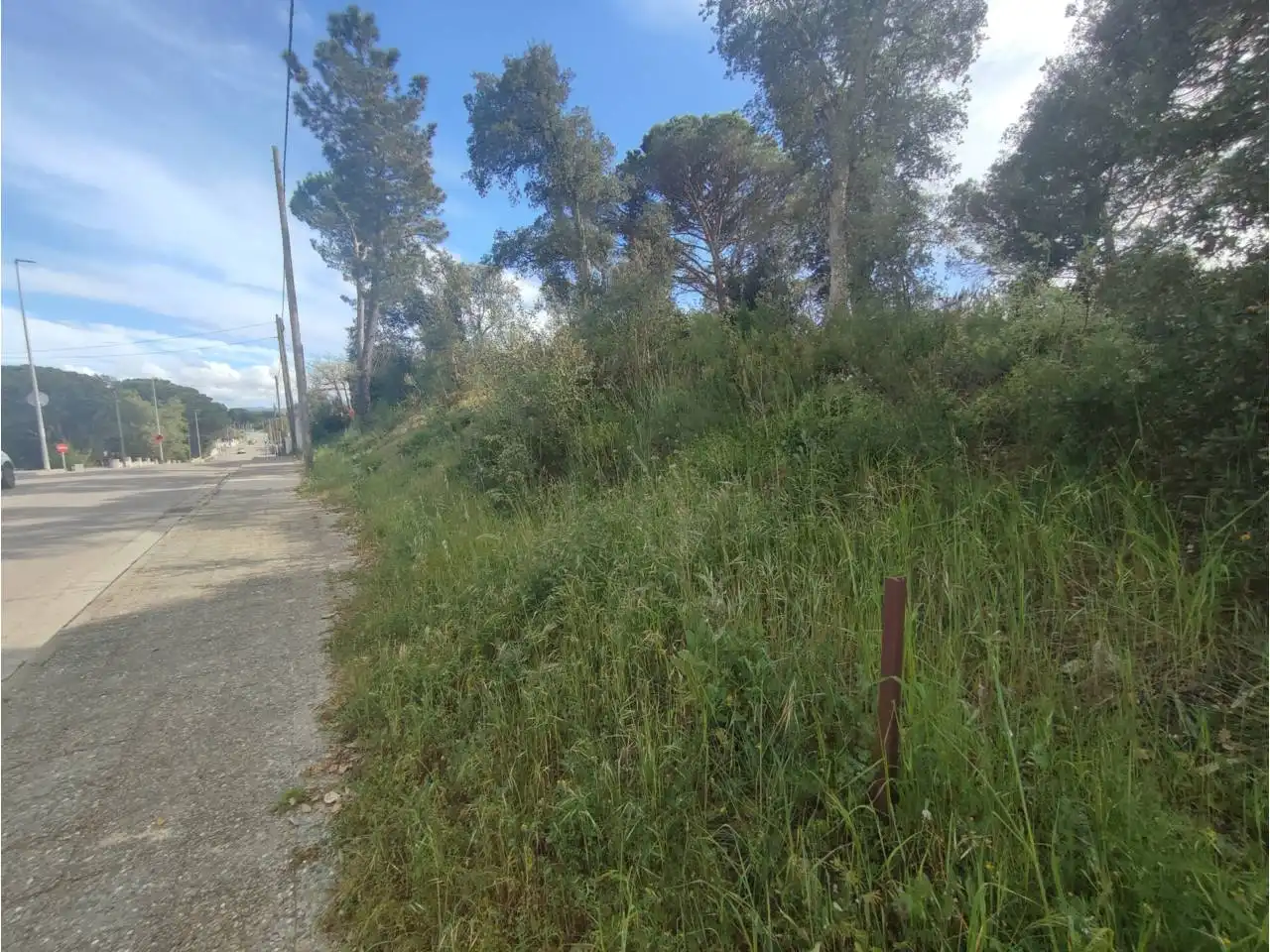 Terreny residencial en venda a Calle Pla de l´Estany, imagen 5