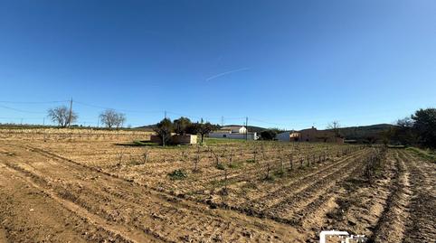 Photo 3 of Country house for sale in Olèrdola, Barcelona