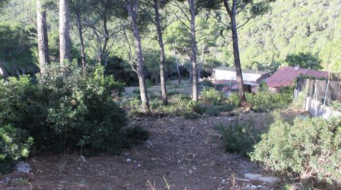 Parcela en Canyelles Les Palmeres, immagine 4